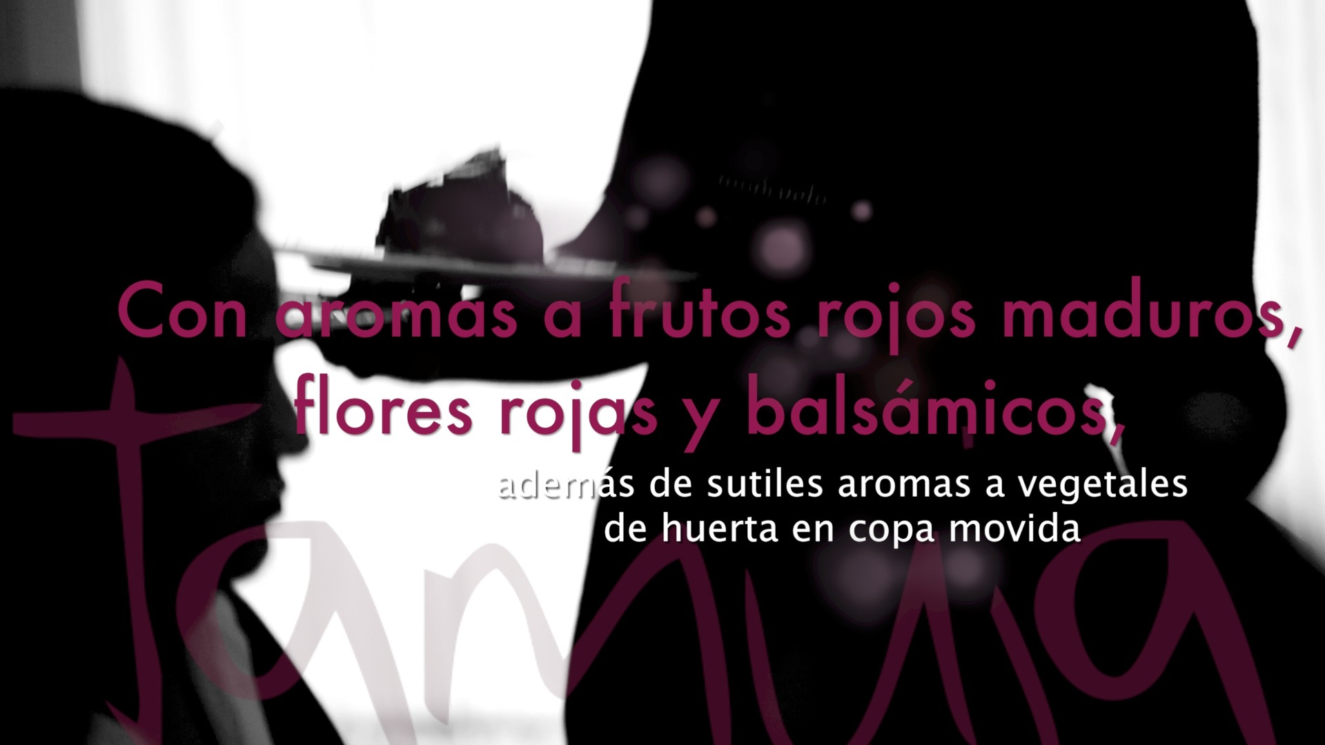 Momentos - de Bodegas Tamuja