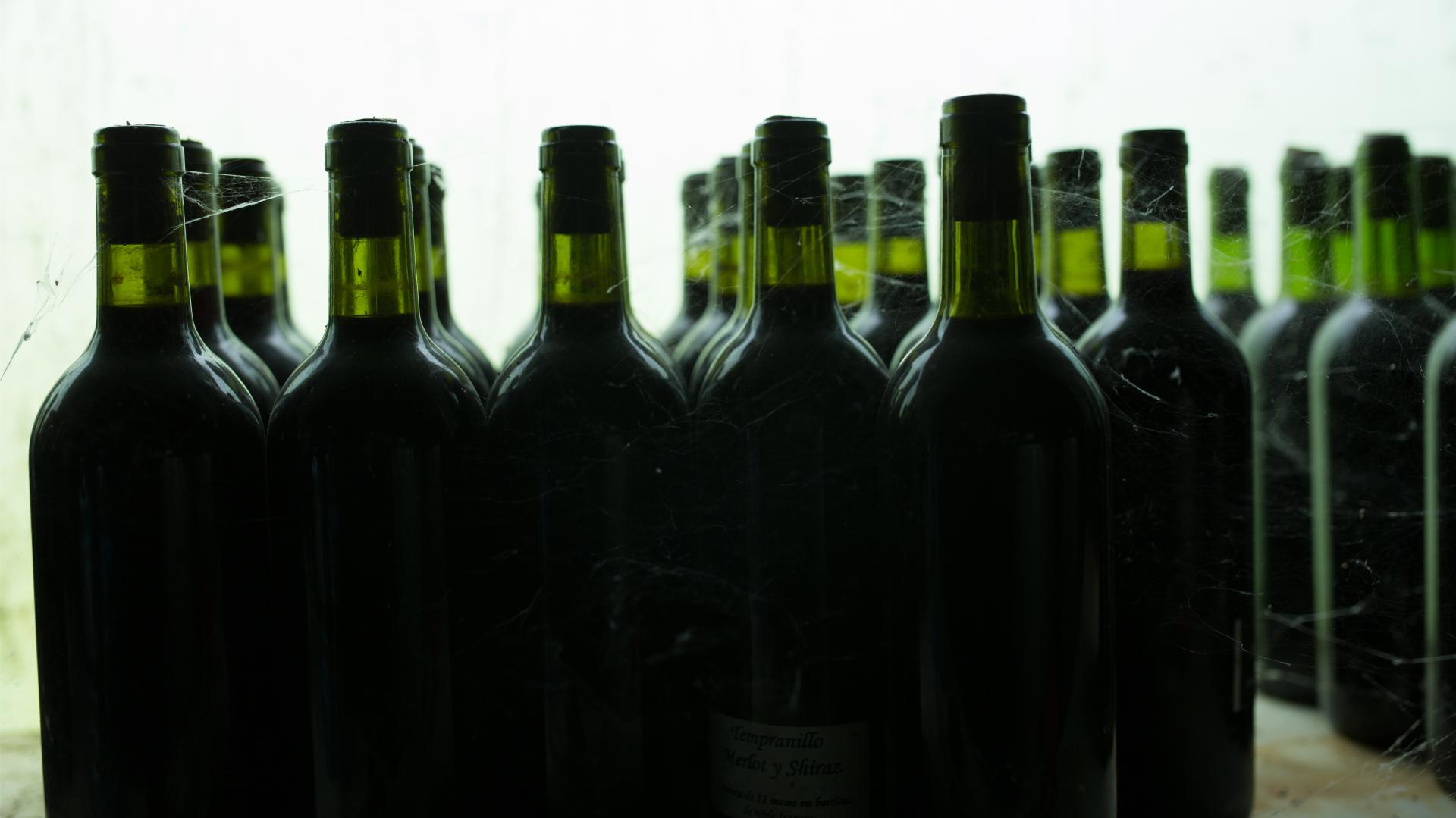 Vino Blog de Bodegas Tamuja